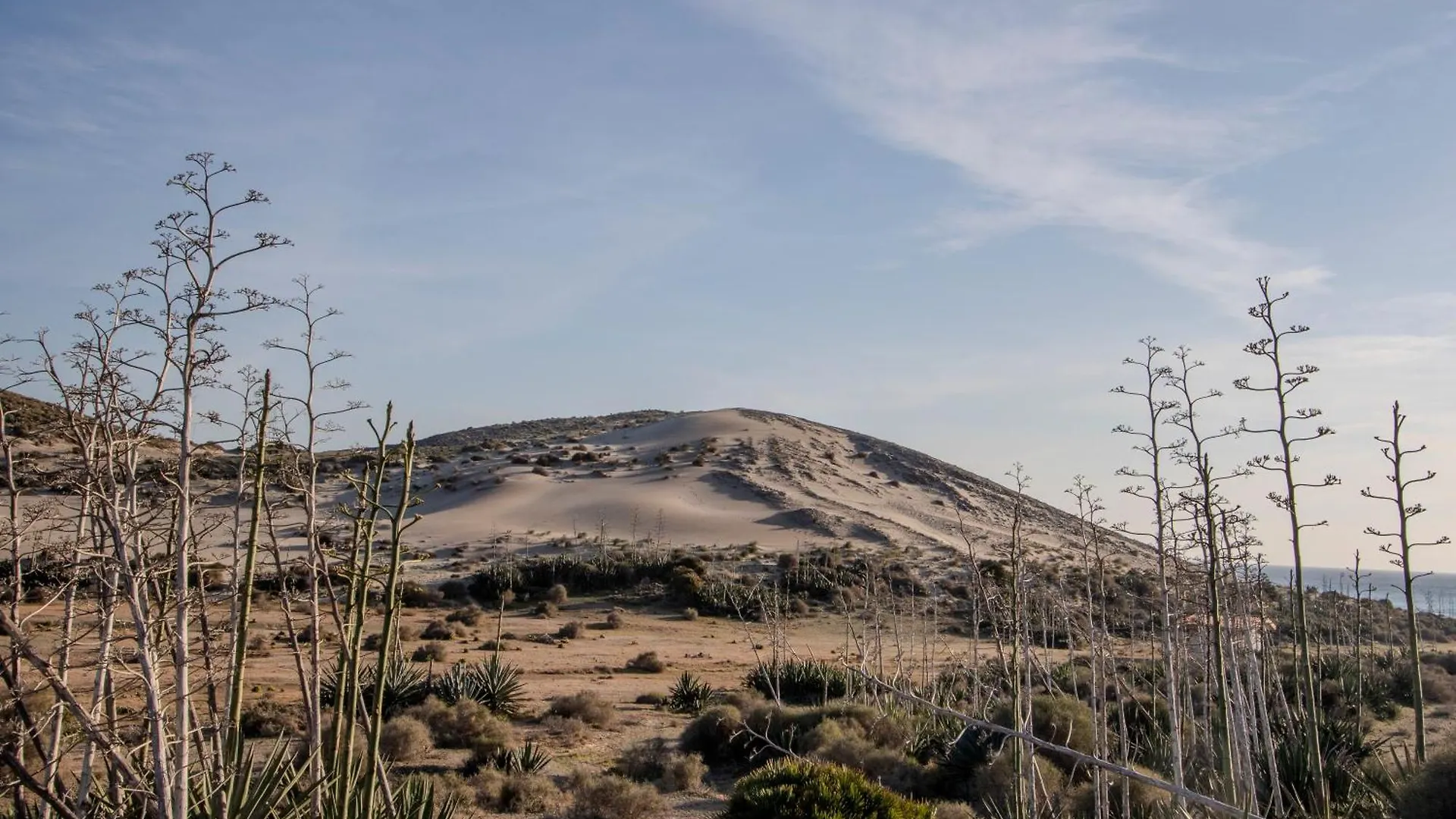 Oro y luz las negras Сasa de vacaciones